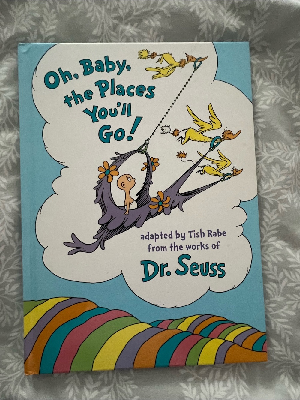 Oh baby the places you will go book.